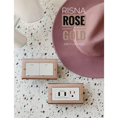  玫瑰金國際牌RISNA全系列框架