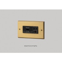 黃銅面板單槽USB加插座(國際牌）