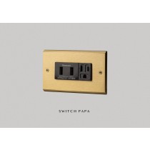 黃銅面板雙槽USB加插座（國際牌）